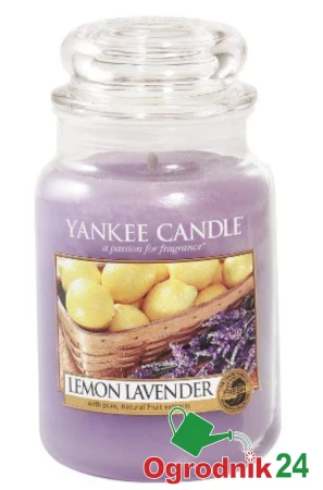 LEMON LAVENDER SŁOIK DUŻY OGRODNIK24.jpg
