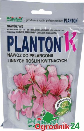 PLANTON K.jpg