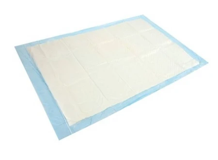 ABSORBUJĄCA.jpg