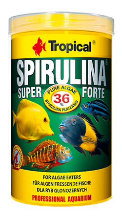 Przejdź do produktu TROPICAL SUPER SPIRULINA FORTE 36% 12G