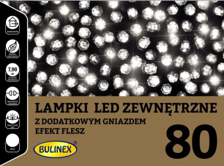 lampki-zewnetrzne-LED-flesz-z-gniazdem-biale-38-422.jpg