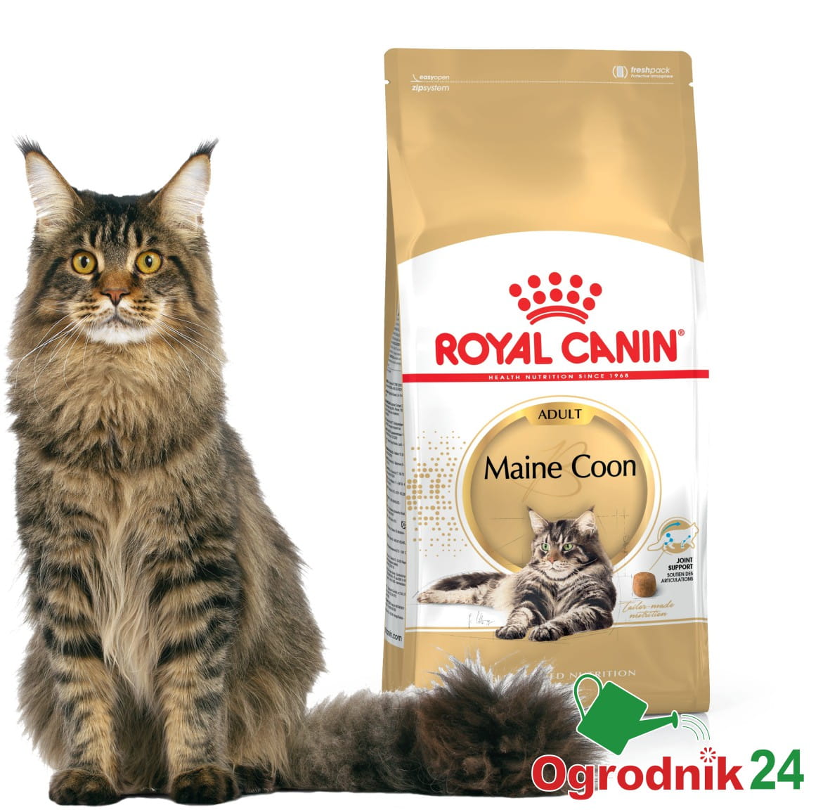 ROYAL_CANIN_Maine_Coon_Ogrodnik24.jpeg