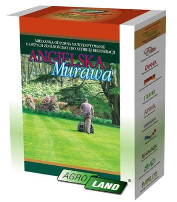 trawa-angielska-murawa-agroland.JPG