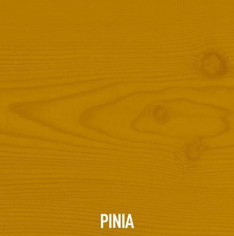 pinia.JPG