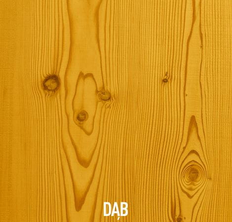 lakierobejca-dab.JPG