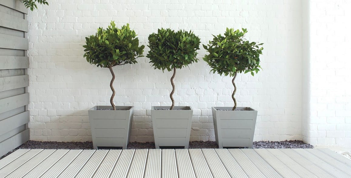 wzor-viva-garden-suszona-mieta.jpg