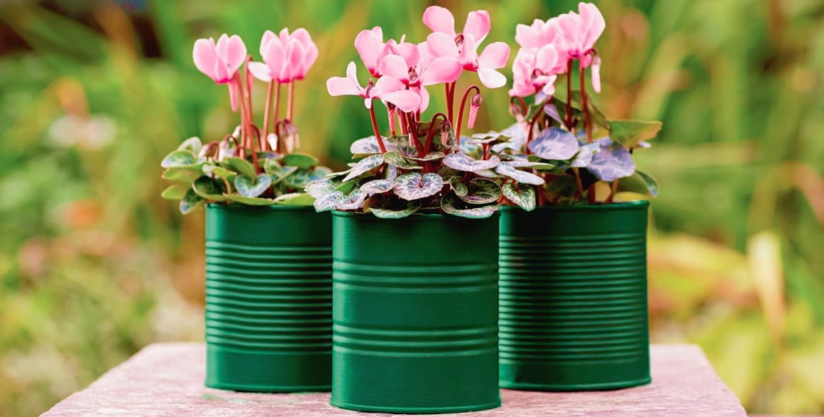 wzor-viva-garden-zielony-bluszcz.jpg