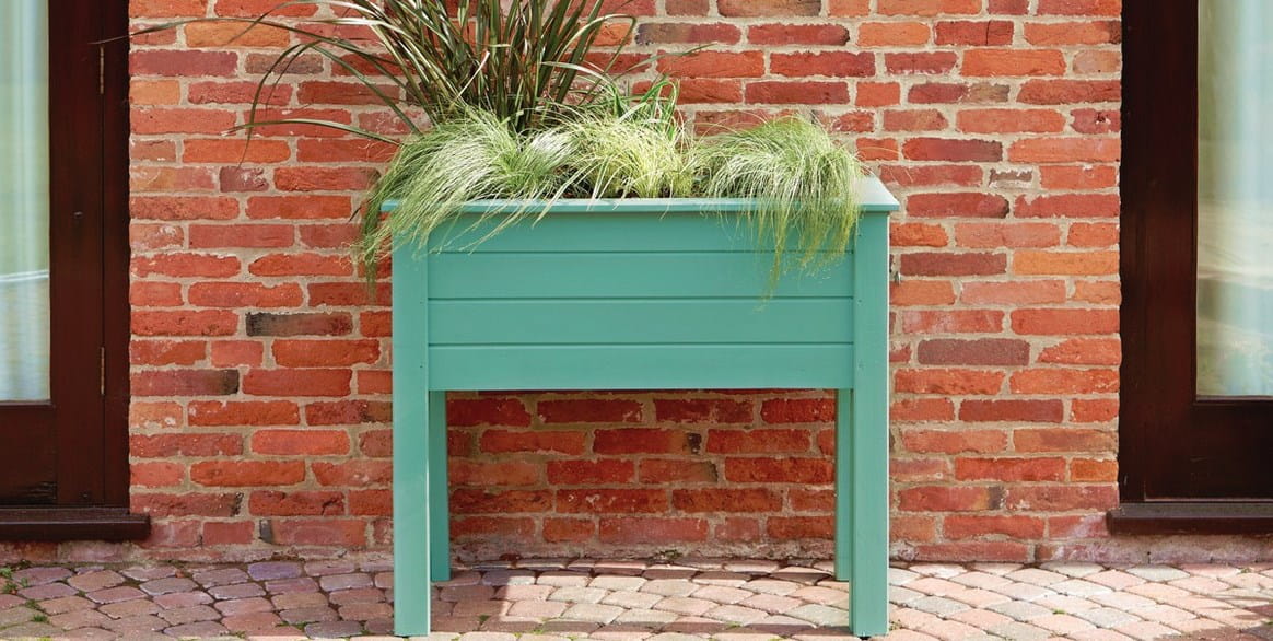 farba-viva-garden-aromatyczna-szalwia.jpg
