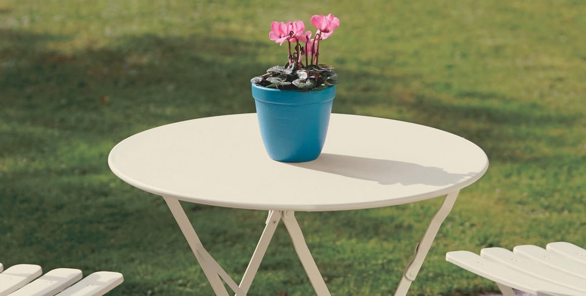 kwitnaca-magnolia-viva-garden.jpg