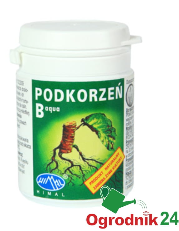 PODKORZEŃ B 20ML.jpg