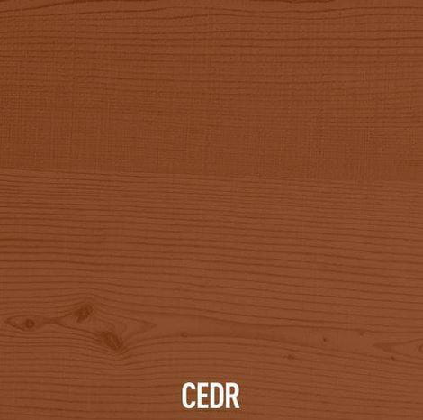 cedr.JPG