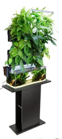 aquael-garden-.jpg