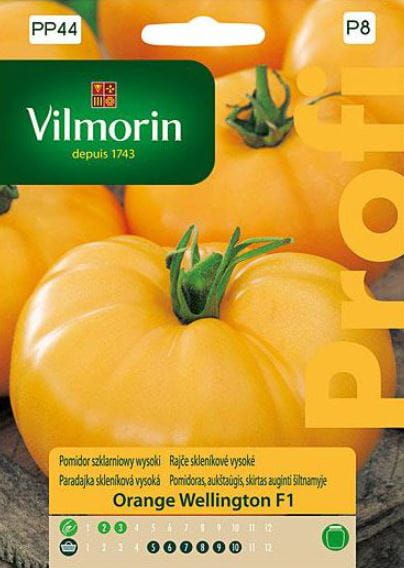 pomidor-orange-wellington-vilmorin.JPG