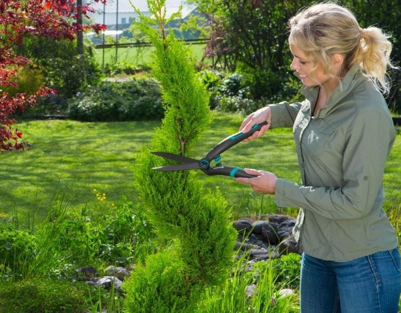 nozyce-do-zywoplotu-gardena-12302.JPG