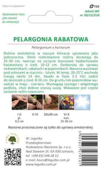 pelargonia-rabatowa-lososiowa-legutko.JPG