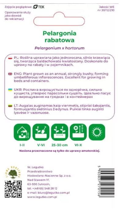pelargonia-rabatowa-rozowa-legutko.JPG