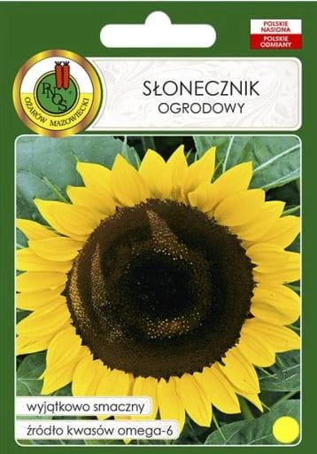 slonecznik ogrodowy.JPG