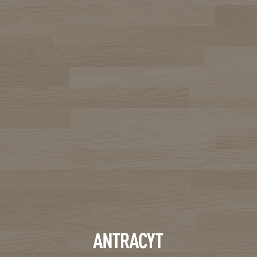 ANTRACYT.png