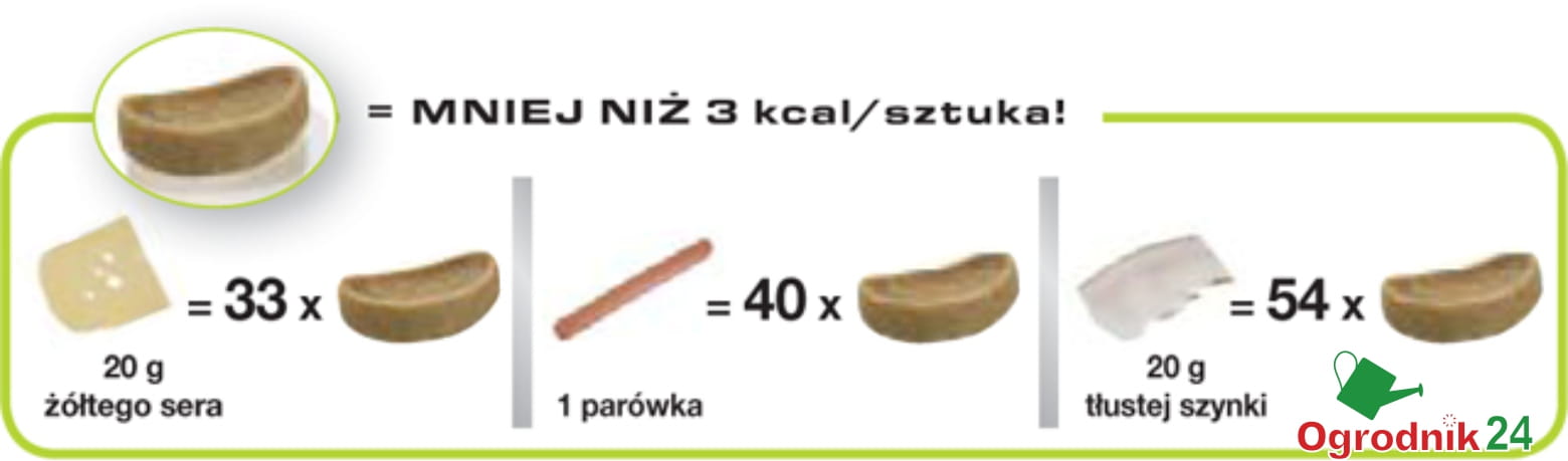 przysmak-educ.jpg