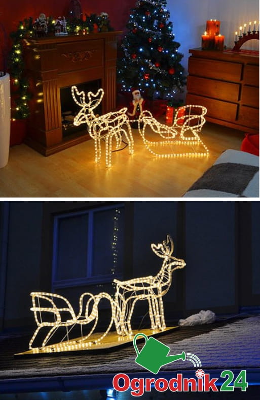 RENIFER Z SANIAMI.jpg