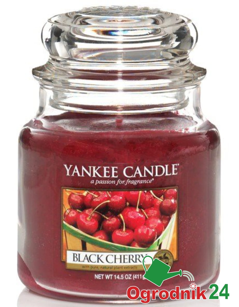 BLACK CHERRY SŁOIK ŚREDNI OGRODNIK24.jpg