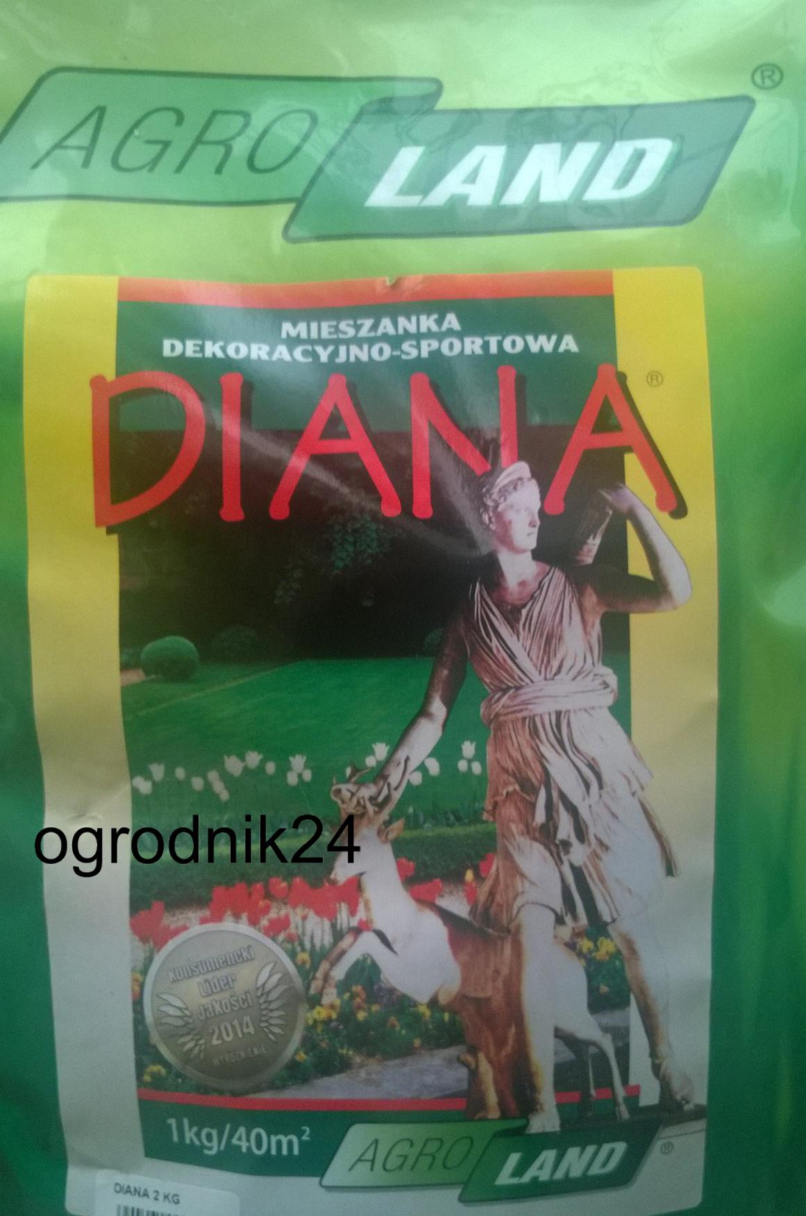 diana5.jpg